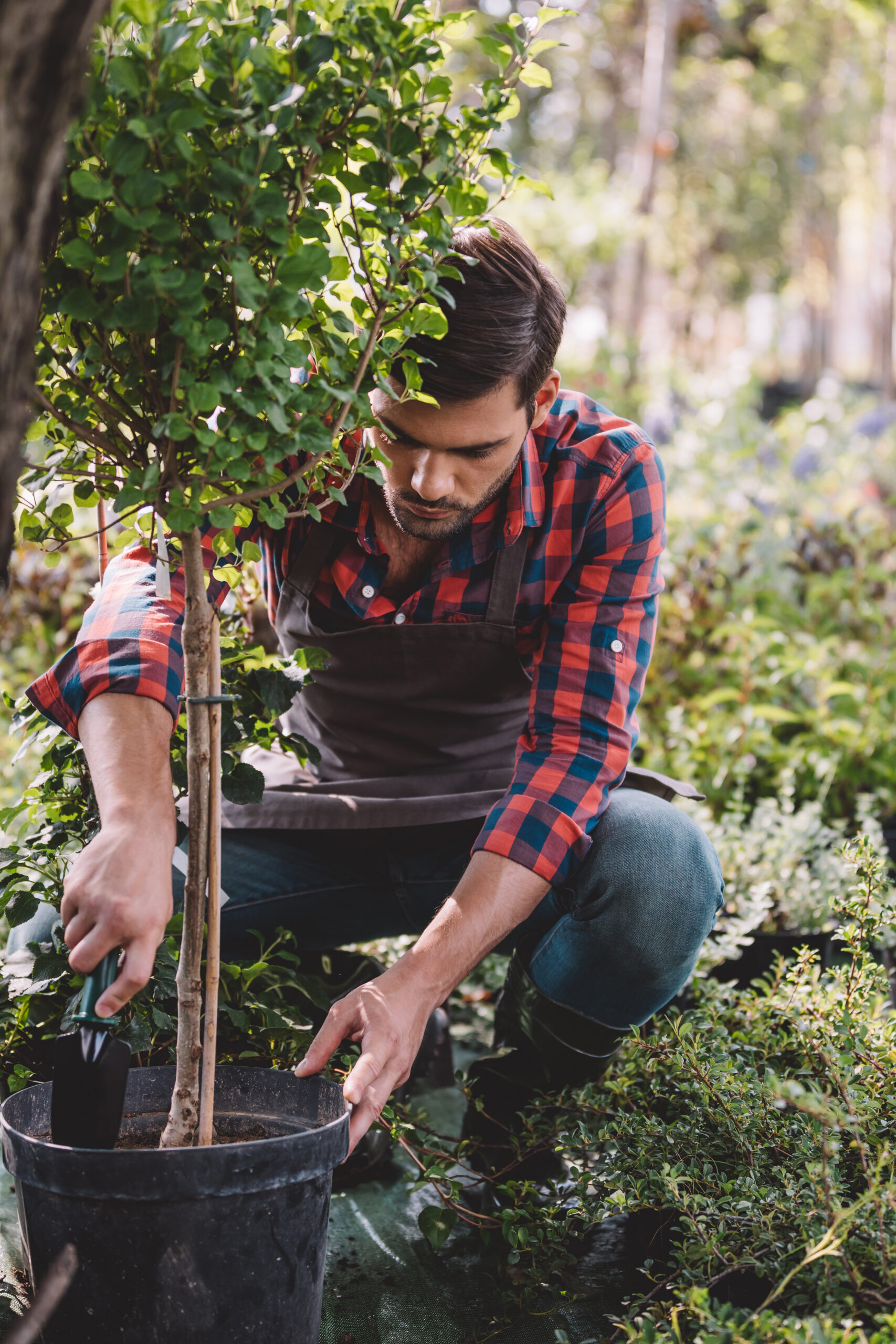 young gardener in apron planting tree while working in garden